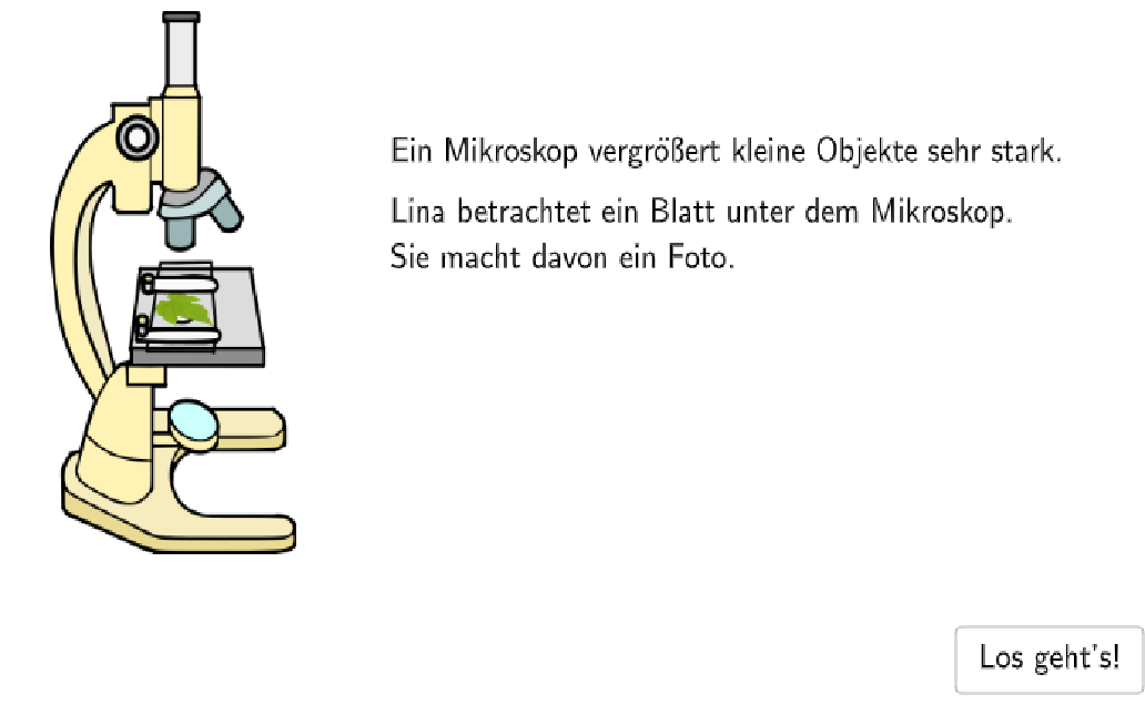 Bildvorschau
