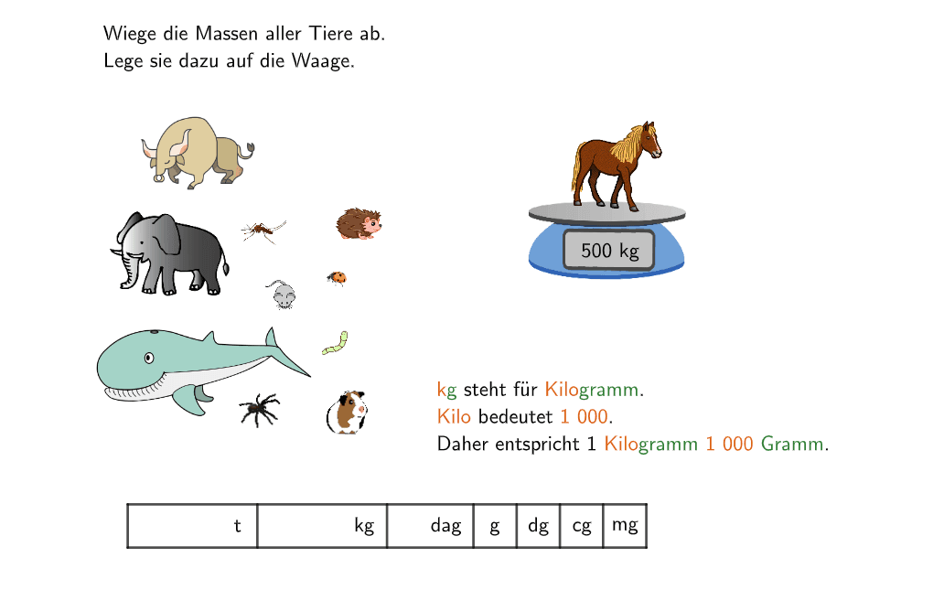 Bildvorschau