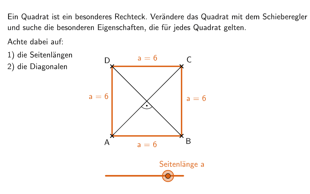 Bildvorschau