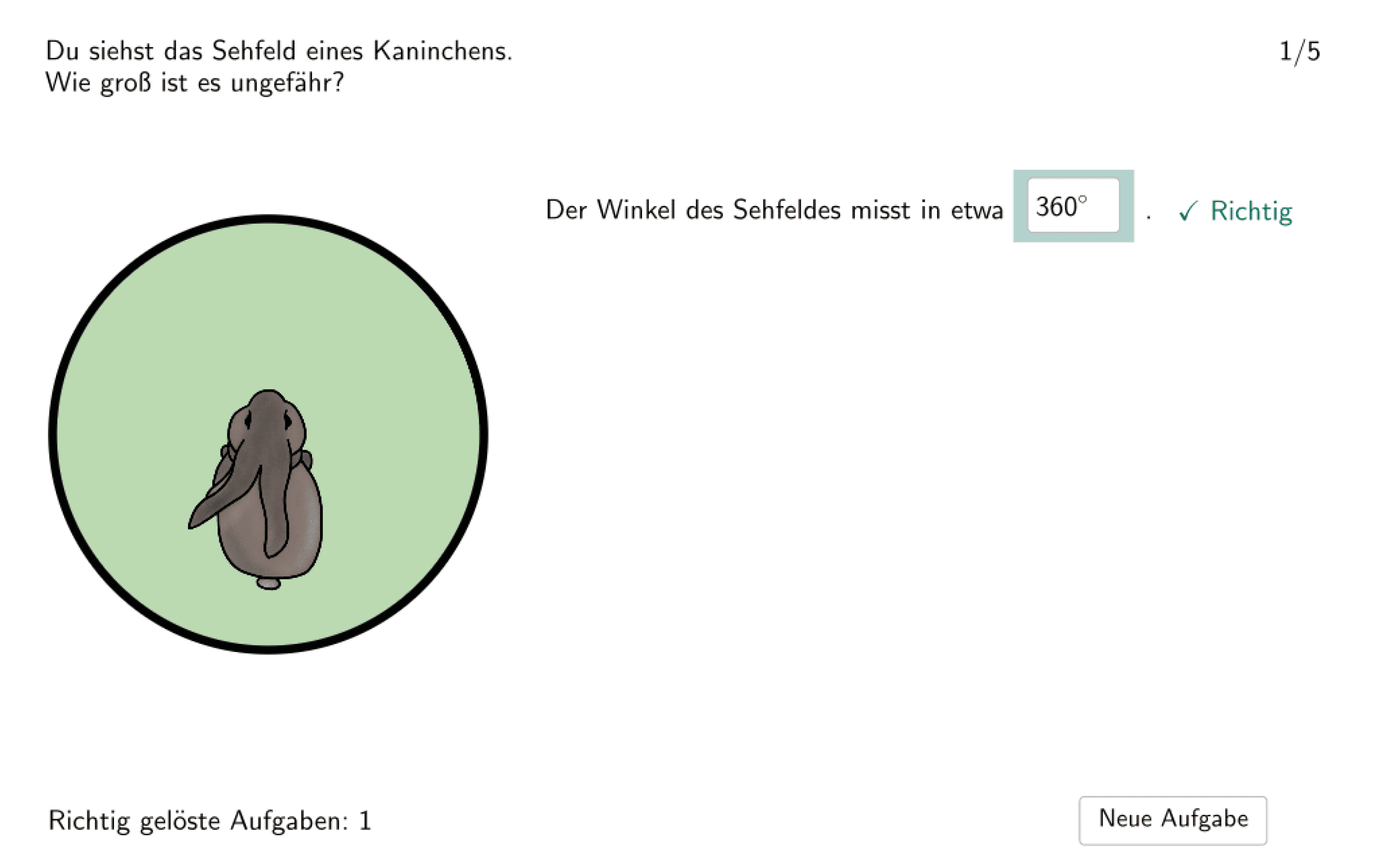 Bildvorschau