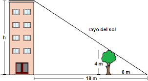 [list=1][*]¿Qué cumplen los lados de dos triángulos semejantes?[/*][*]Calcula la altura del edificio con los datos que aparecen en el dibujo.[/*][/list]