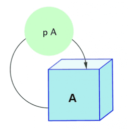 ICME 13, TSG 46: Growth and Modelling with KUMULATOR