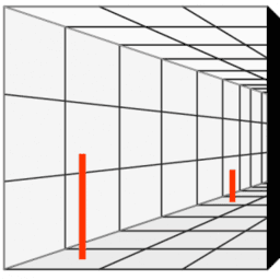 La percepción del tamaño