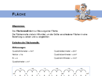 Fläche Info.pdf