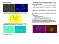 SkriptEbeneMoebiusgeometrie13_16.pdf
