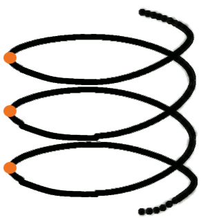 Spiral Curriculum