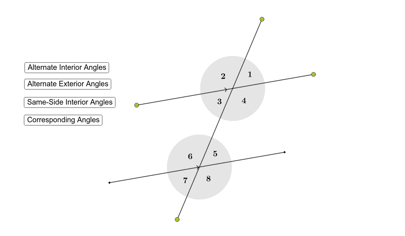 G Co C 9 Angles Of Parallel Lines With A Transversal