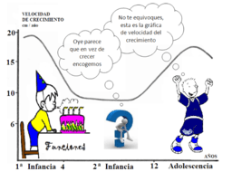 Funciones matemáticas