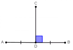 5.1 Segments in Triangles