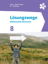 Lösungswege 8