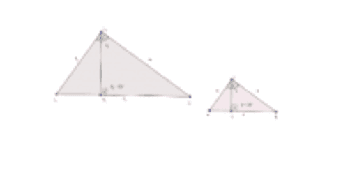 Лица на правоъгълни триъгълници – GeoGebra
