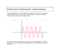 Michael Rode - Induktion.pdf