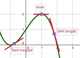 Einführung Differenzialrechnung Kompakt