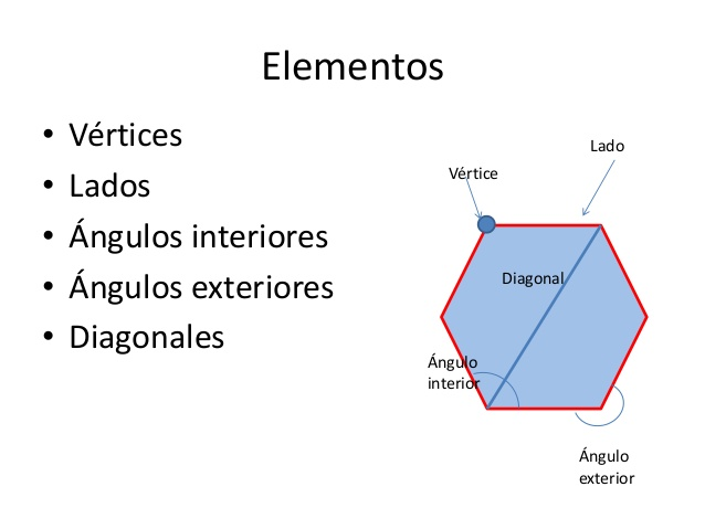 ELEMENTOS DEL POLÍGONO