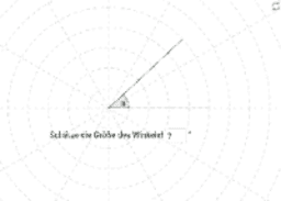 Winkel schätzen und messen