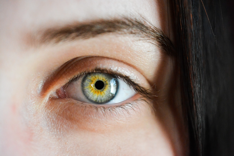 [url=https://pixabay.com/en/eye-iris-macro-natural-girl-2340806/]"Human Iris Pupil"[/url] by SofieZborilova is in the [url=http://creativecommons.org/publicdomain/zero/1.0/]Public Domain, CC0[/url]
