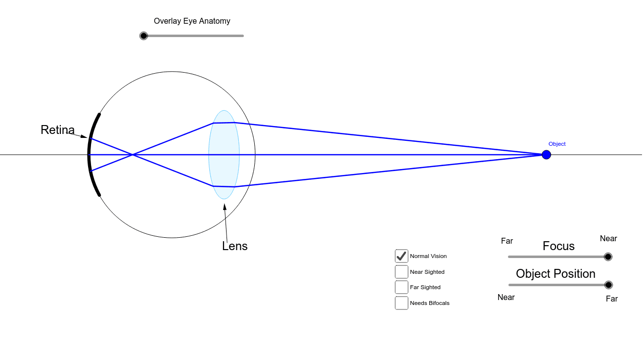 Optics Of The Human Eye Geogebra