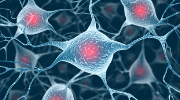 Neurônios