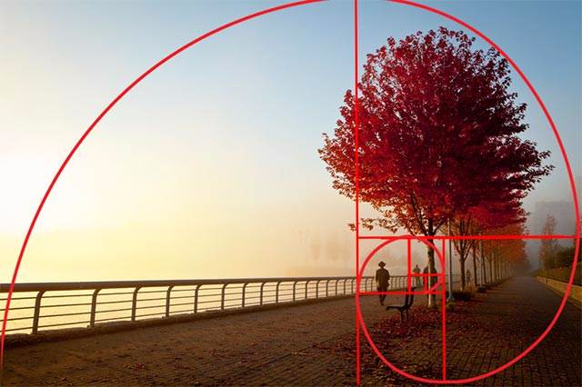 golden ratio photography examples Golden ratio examples?