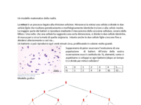 Un modello matematico della realtà.pdf