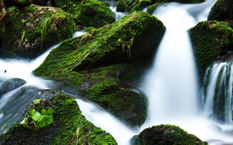 [url=https://pixabay.com/en/creek-falls-flow-flowing-green-21749/]"This work"[/url] is in the [url=http://creativecommons.org/publicdomain/zero/1.0/]Public Domain, CC0[/url]

The mystical look of the water in this photo requires a long shutter time.  In daylight a long shutter time will over-expose a picture so it looks all white.  To avoid this, crossed polarizers can be used to lower the light intensity.