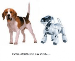 Geogebrapedro