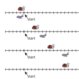 Understanding Proportional Relationships: IM 8.3.1