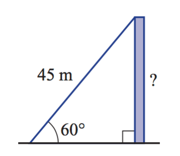 Use this diagram to answer the question below. *Hint: use the adjustable diagram to help!