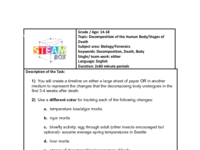 3_Death and Decomposition Timeline.pdf