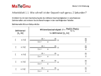 MaTeGnu_Modul1_AB_Annaeherung_Gepard.pdf