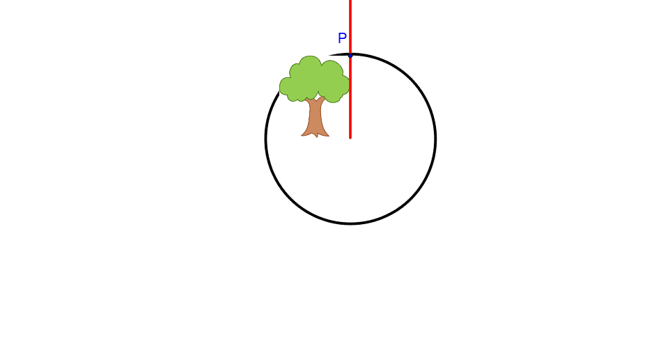 Move Point P to show this tree rotated 90 degrees. Press Enter to start activity