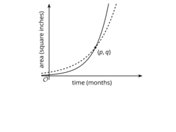 Reasoning about Exponential Graphs (Part 2): IM Alg1.5.13