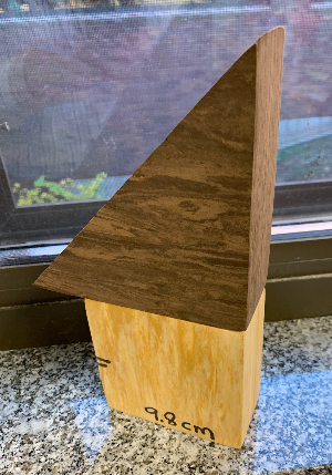 Aşağıdaki bileşik katı cisim 2 prizmadan oluşmaktadır. Alttaki prizmanın boyutları 9,8 cm × 9,8 cm × 4,5 cm’dir. Üstteki üçgen prizmanın tabanı, dik kenarı 13,6 cm olan ikizkenar bir dik üçgendir.