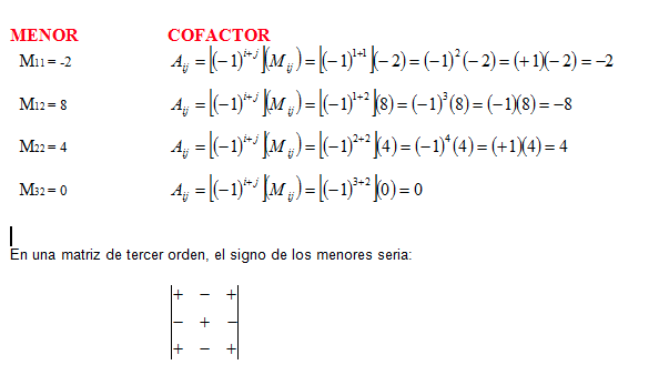 Menor y Cofactor