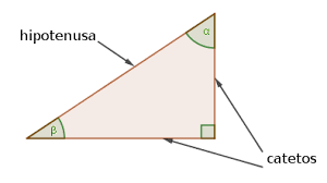 Grafique un triángulo rectángulo de 6 cm , 8 cm y 10 cm y marque los respectivos ángulos. 