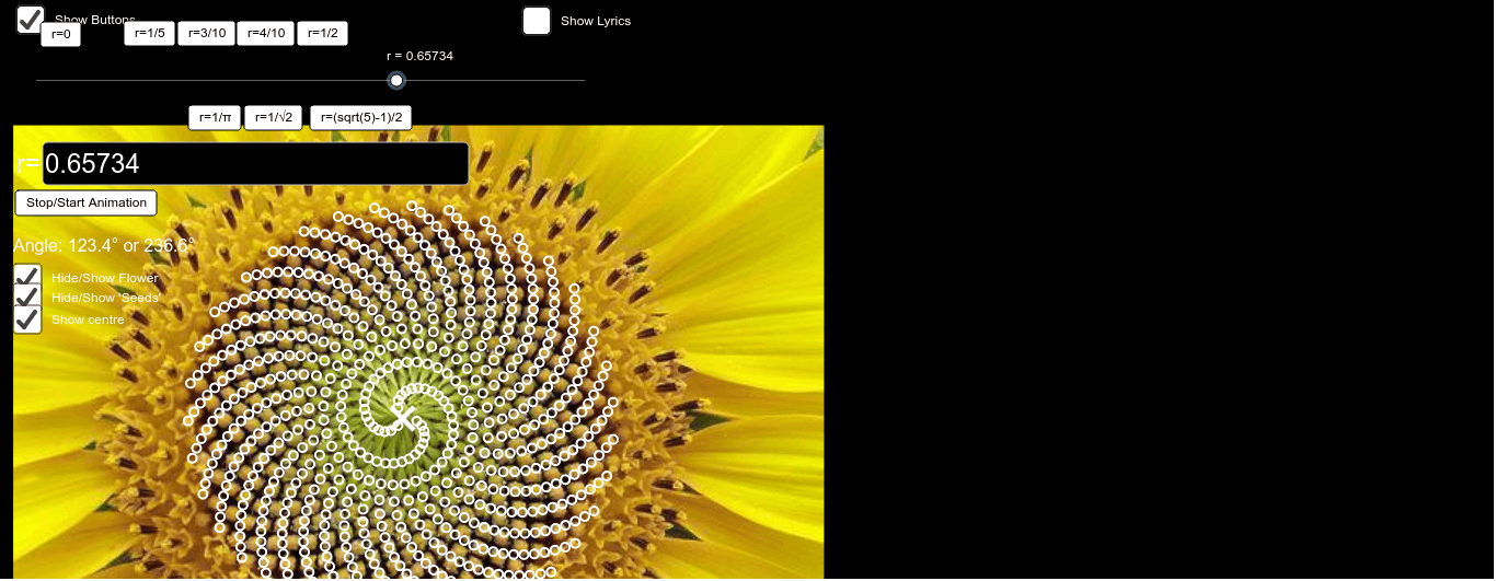 Phi Golden Ratio and Sunflower GeoGebra