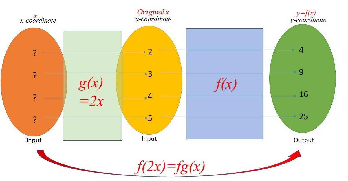 I hope that from the graph, it is obvious that if the y-coordinates are to be the same, the x-coordinates now needs to be halved, and thus the horizontal stretching has scale factor [math]\frac{1}{2}.[/math]