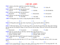 chu de AMIN-co-dap-an.pdf