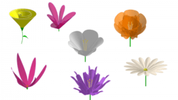 Flores 3D 