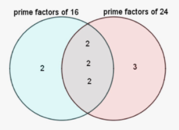 Factors of 8, How to Find the Prime Factors of 8