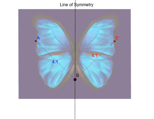 reflection symmetry geometry definition