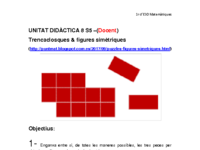S5_puzzle simetria_solucions.pdf