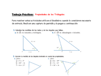 Trabajo Práctico_ Triángulos_Marcela Bambace.pdf