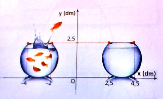 Un salto pericoloso (tratto da Zanichelli Coniche e trasformazioni nel piano - Bergamini - Barozzi - Trifone)