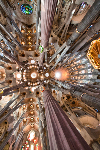 Vista della volta della Sagrada Familia