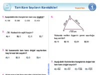 KarekokluSayilar1.pdf