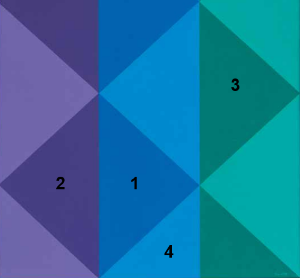 Use the image below to answer the following questions.