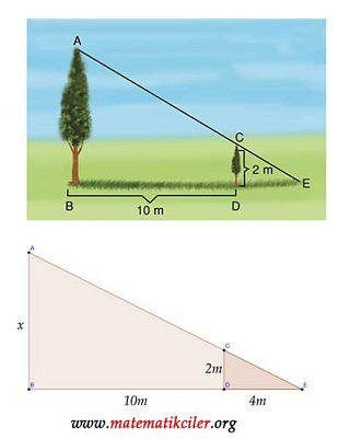 resmi inceleyiniz