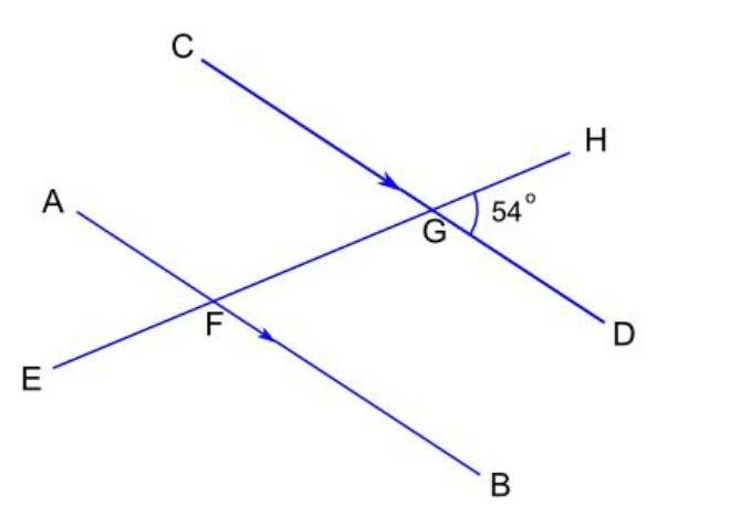 Study the diagram below and answer the following question.