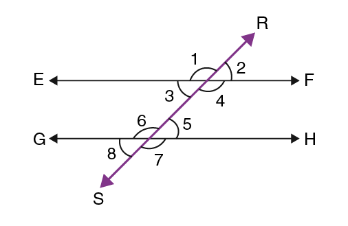 Activity 3